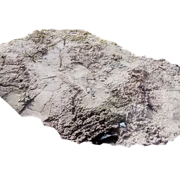 Footprint on the ground