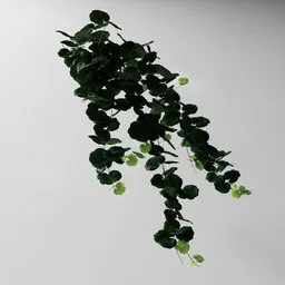"Artificial tendril Pelargonium green 3D model for Blender 3D: indoor nature category, overgrown ivy plants with mint leaves and volumetric scattering into space. Geometry nodes created using the Bagapia addon with author permission."