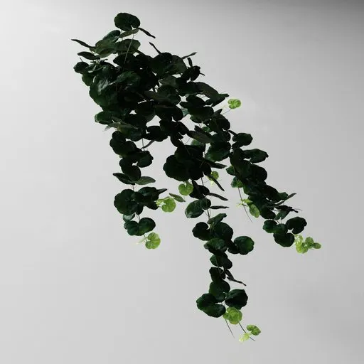 Detailed 3D hanging plant model compatible with Blender, featuring editable geometry nodes.