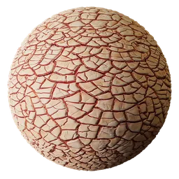 Soil Cracked