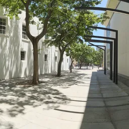Pergola Walkway