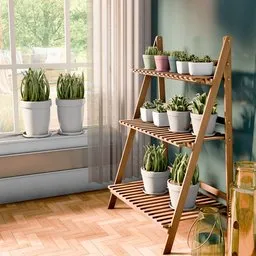 3D modeled sunny room corner with a wooden shelf filled with a variety of potted plants, Blender realistic texture.