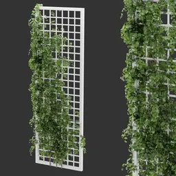 Simple Grid Ivy Plant