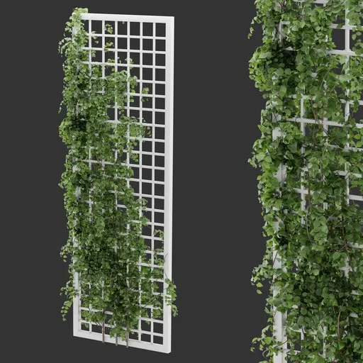 Simple Grid Ivy Plant
