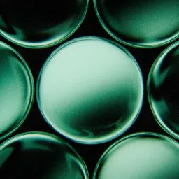 Emerald Glass Spheres Petri Dish Cells