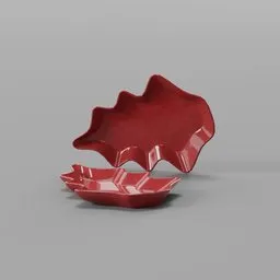 Organic Ceramic Tray