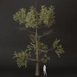 SJ-Spring Serenity Pine Tree