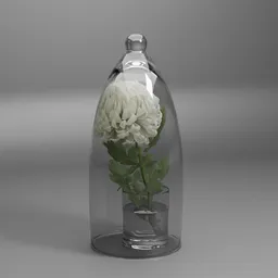 White Chrysanthemum Glass Dome