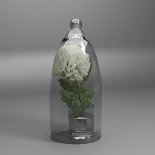 White Chrysanthemum Glass Dome