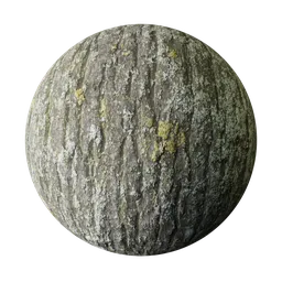Tree bark