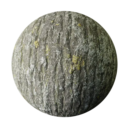 Tree bark