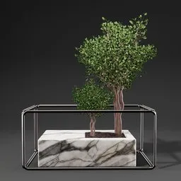 Highly detailed 3D Benjamin shrub in a marble planter with a metal support, perfect for interior visualization.