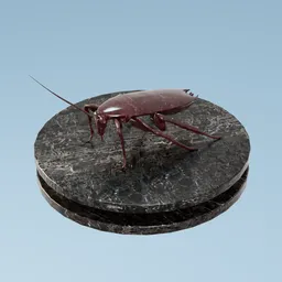 House Decoration Cockroach Statue