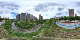 River Green Grass Tree