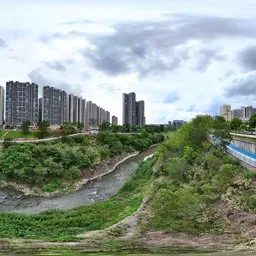 River Green Grass Tree
