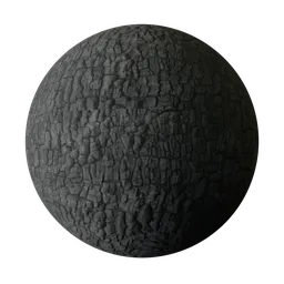 Burnt wood
