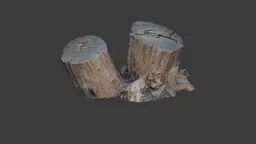 Detailed twin tree stumps 3D model for Blender, showcasing realistic textures and natural wood details.
