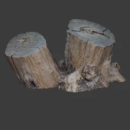Double stump