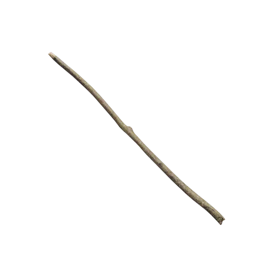 Debris and twigs