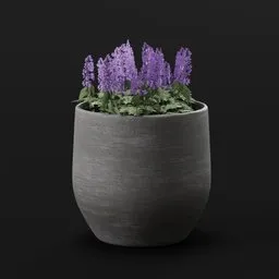 Flower Scarlet Pot
