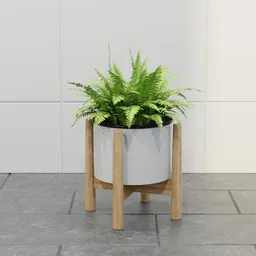 Nordic Fern Planter