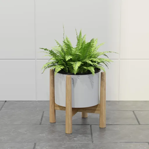 Nordic Fern Planter