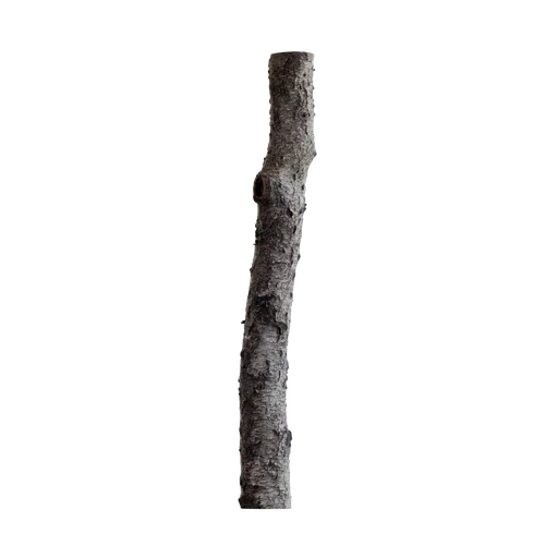 Detailed 3D photogrammetry model of a textured peach tree log for Blender rendering.
