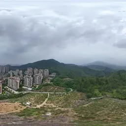 Highsky green forest