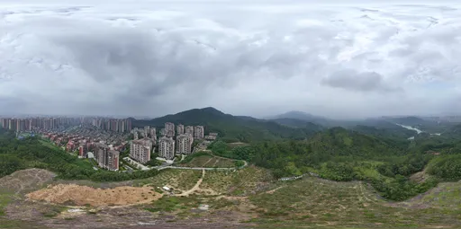 Highsky green forest