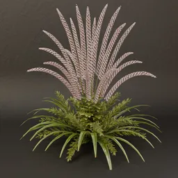 SJ-Celestial Sparkling Orchid Fern.