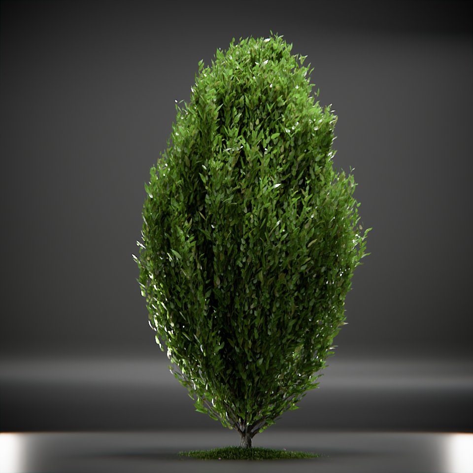 Tree Columnar European Animated | Trees models | Blendkit