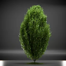 Tree Columnar European Animated