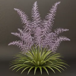 SJ-Hidden Serenity Shrub