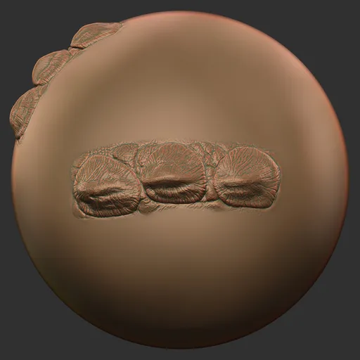 Dragon Skin Single Sharp Node