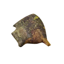 Tree bark debris