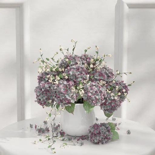 Hydrangea