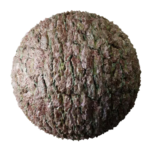 Bark Pine