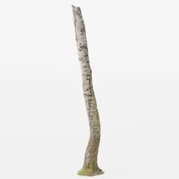 "Get a realistic 3D model of a moss-covered birch tree trunk, perfect for forest scenes. Created with Blender 3D and scanned from an actual forest, this high-resolution product features lossless quality and PBR technology. Perfect for your next project inspired by nature or speculative evolution."