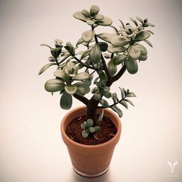 Realistic 3D rendered succulent plant in terracotta pot, optimized for Blender 3D projects.