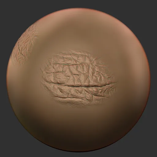 ER_Human Skin(T) 98