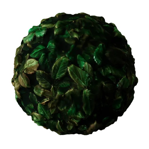 Rose Bush Leaves