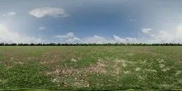 Lush green field with autumn leaves under a cloudy sky in 16K HDR for scene lighting.