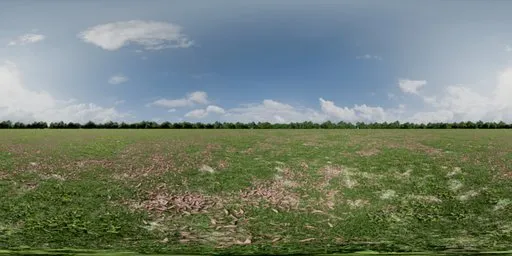 Lush green field with autumn leaves under a cloudy sky in 16K HDR for scene lighting.