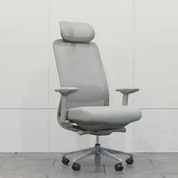 Gray Ergonomic Mesh Office Chair