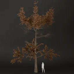 SJ-Brown Nest Pine Tree