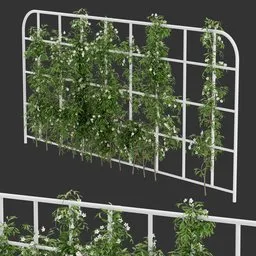 Grid Ivy Flowering Plant