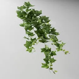 "Artificial tendril Ivy v2 3D model for Blender 3D: untextured vines and flowering plants inspired by nature-indoor category. Created with Geometry Nodes and Bagapia add-on with permission from author."