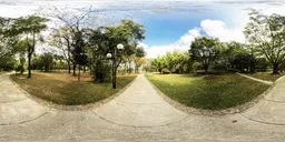 Tree-lined pathway with detailed shadows and sunlight for realistic scene illumination, 12K HDR texture.