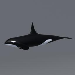 Cartoon Orca Killer Whale