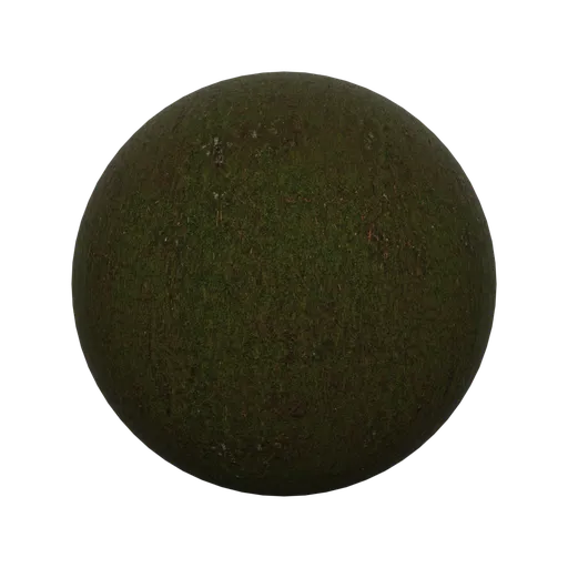High-resolution 2K PBR forest moss texture for realistic ground surfaces in Blender 3D rendering.